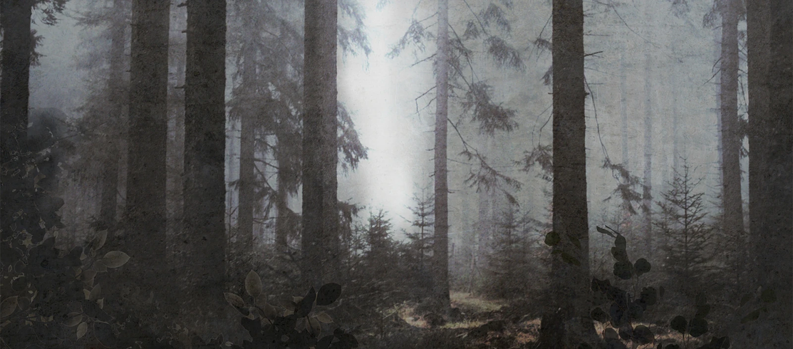 Sound-of-silence-LR-1920x845.jpg Skinwall – włoska kreatywność i tapety jak marzenie | Wyposażenie wnętrz MAXFLIZ