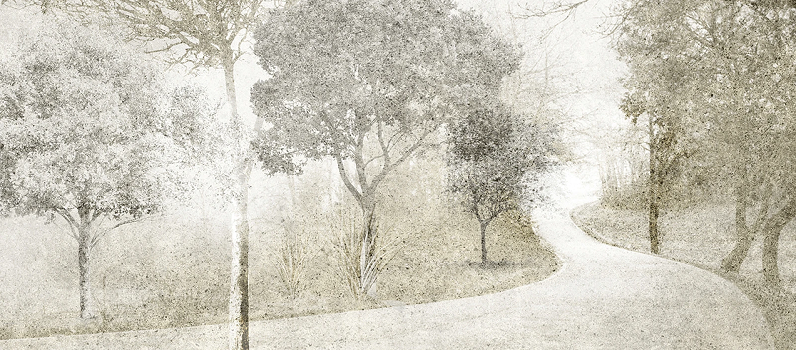 white-path 1920x845.jpg Skinwall – włoska kreatywność i tapety jak marzenie | Wyposażenie wnętrz MAXFLIZ
