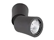 MAXLIGHT Dot lampa sufitowa czarna C0157