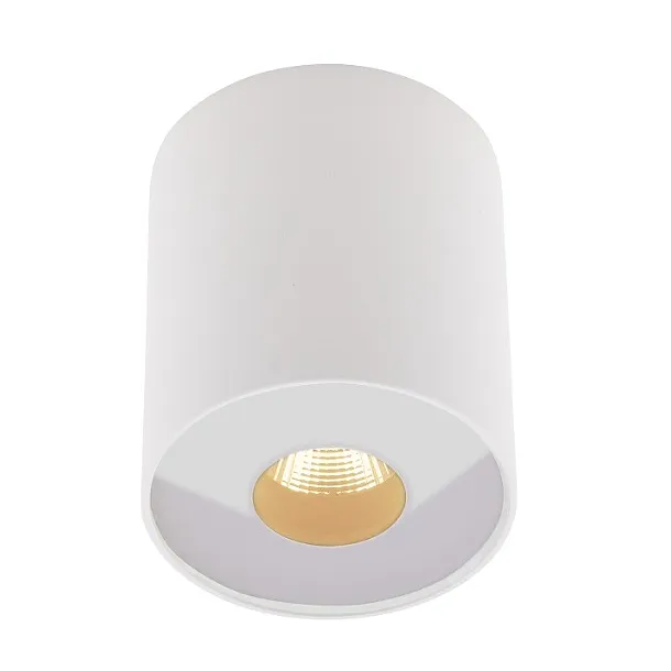 MAXLIGHT C0152 PLAZMA PLAFON BIAŁY IP54