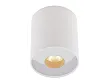 MAXLIGHT C0152 PLAZMA PLAFON BIAŁY IP54