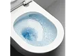 GSI Pura miska wc podwieszana 50x36cm Swirlflush Ex­traglaze 881611