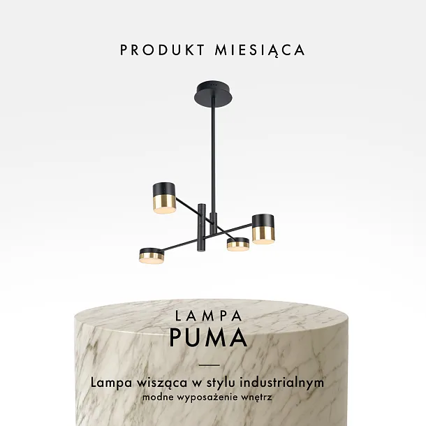 Lampa Wisząca Puma LED 4x7W od Maxlight
