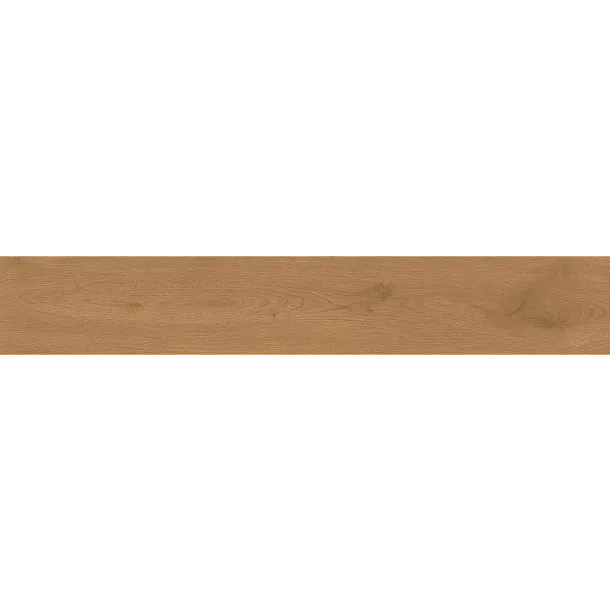 Płytka Ceramiczna 20x120 AT/EN212COON