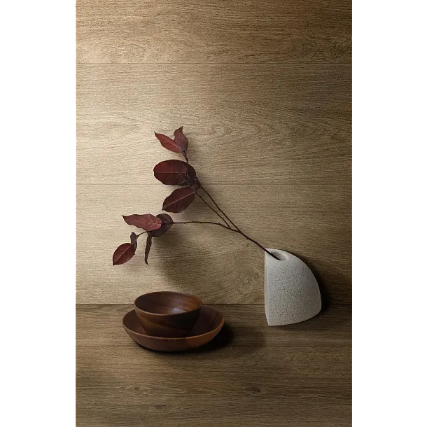 Płytka Ceramiczna 20x120 RA/OS212BEEM