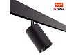 Reflektor Magnetyczny Magnetic Czarny System Zigbee 20W 1332LM 2700/5000K od Maxlight