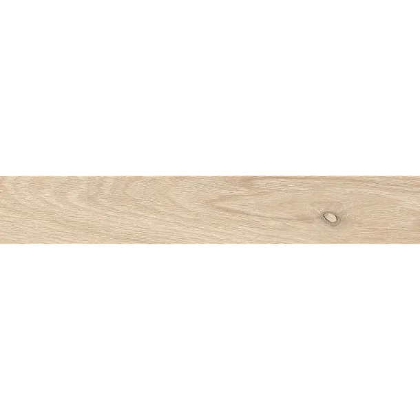 Płytka Ceramiczna 20x120 ER/I-W212ROPA