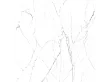 Płytka ceramiczna 79,7x79,7x0,8 MH/UN77WHP