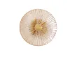 Kinkiet Allure 1L Champagne Glass od Maxlight