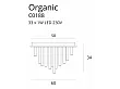 Plafon Organic 33x1 Złoty od Maxlight
