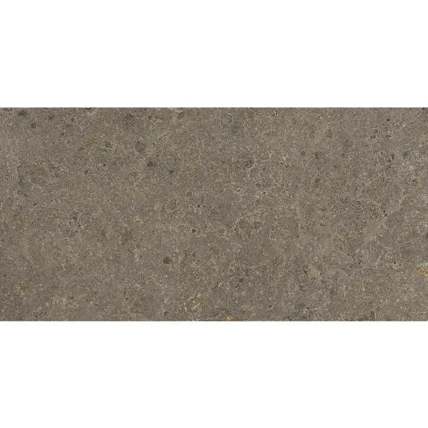 PŁYTKA CERAMICZNA IN/ME1030GRAB 100 x 300 cm od INALCO