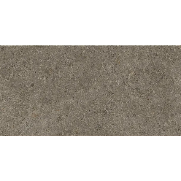 PŁYTKA CERAMICZNA IN/ME1030GRAB 100 x 300 cm od INALCO