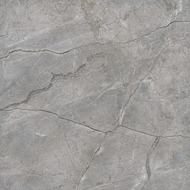 PŁYTKA CERAMICZNA ASPEN GRIS MATE 120x120 cm od MAXHOME