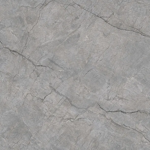 PŁYTKA CERAMICZNA ASPEN GRIS MATE 120x120 cm od MAXHOME