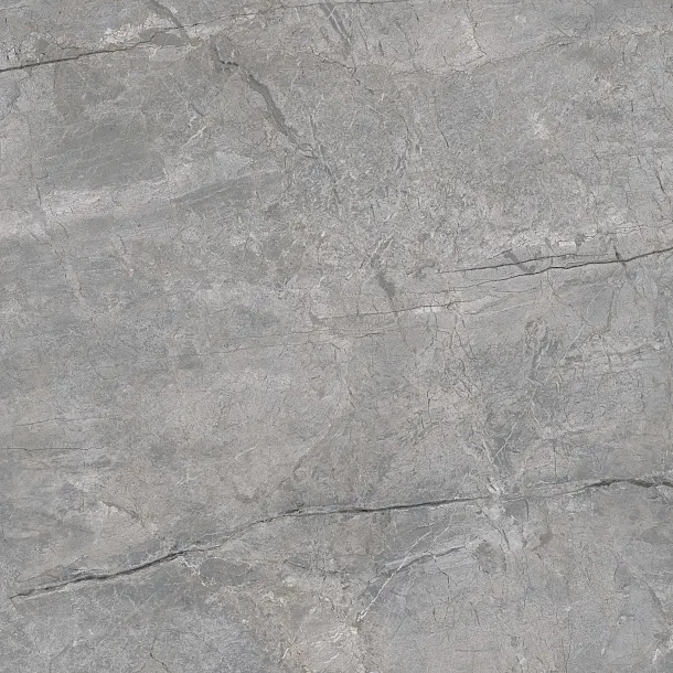 PŁYTKA CERAMICZNA ASPEN GRIS MATE 120x120 cm od MAXHOME