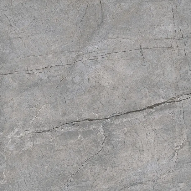 PŁYTKA CERAMICZNA ASPEN GRIS MATE 120x120 cm od MAXHOME