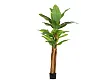 Roślina Banana 22 Liście 240cm od Bizzotto