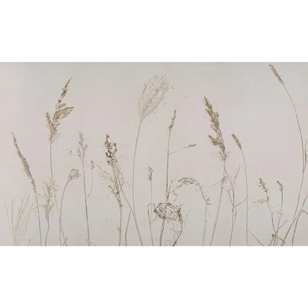 Tapeta Campo di Avena na Wymiar od WallArt