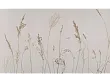Tapeta Campo di Avena na Wymiar od WallArt