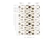 Tapeta Under the Sea Beige od Wallcolors