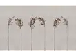 Tapeta Anticci na Wymiar od WallArt