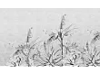 Tapeta Rainforest Sketch na Wymiar od WallArt