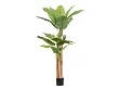 Roślina Banana 20 Liści 200 cm od Bizzotto