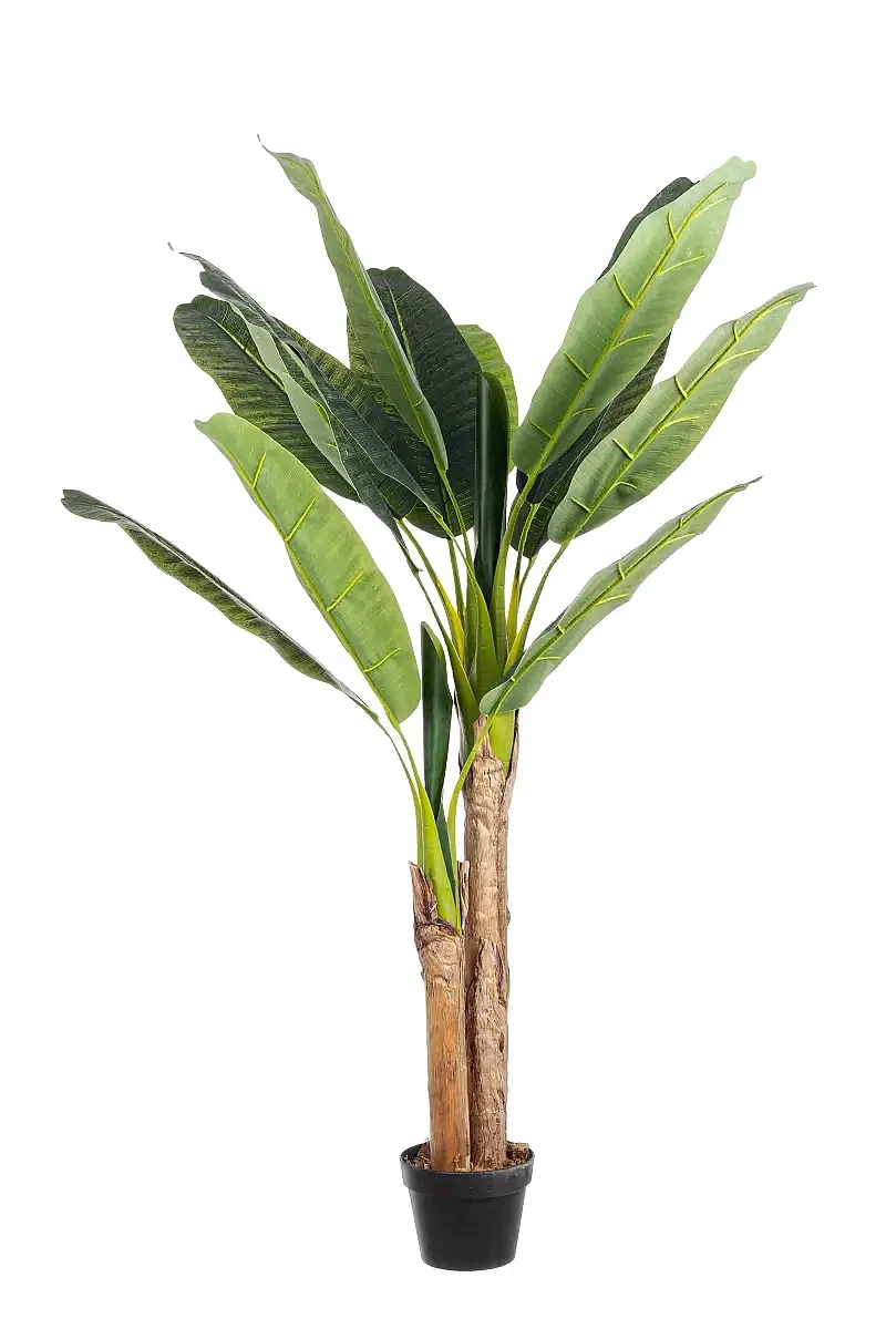 Sztuczna roślina bananowca Bizzotto.webp [33.85 KB]