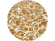 Dywan Okrągły Swim Saffron Round 240x240 cm od Carpets&More