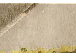 Dywan Wełniany New Age Runway Yellow 170x240 cm od Carpets&More