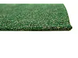 Dywan Pop Tiger Green On Fire 170x240 cm od Carpets&More