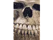 Dywan Memento Mori Funny Bones 170x240 cm od Carpets&More