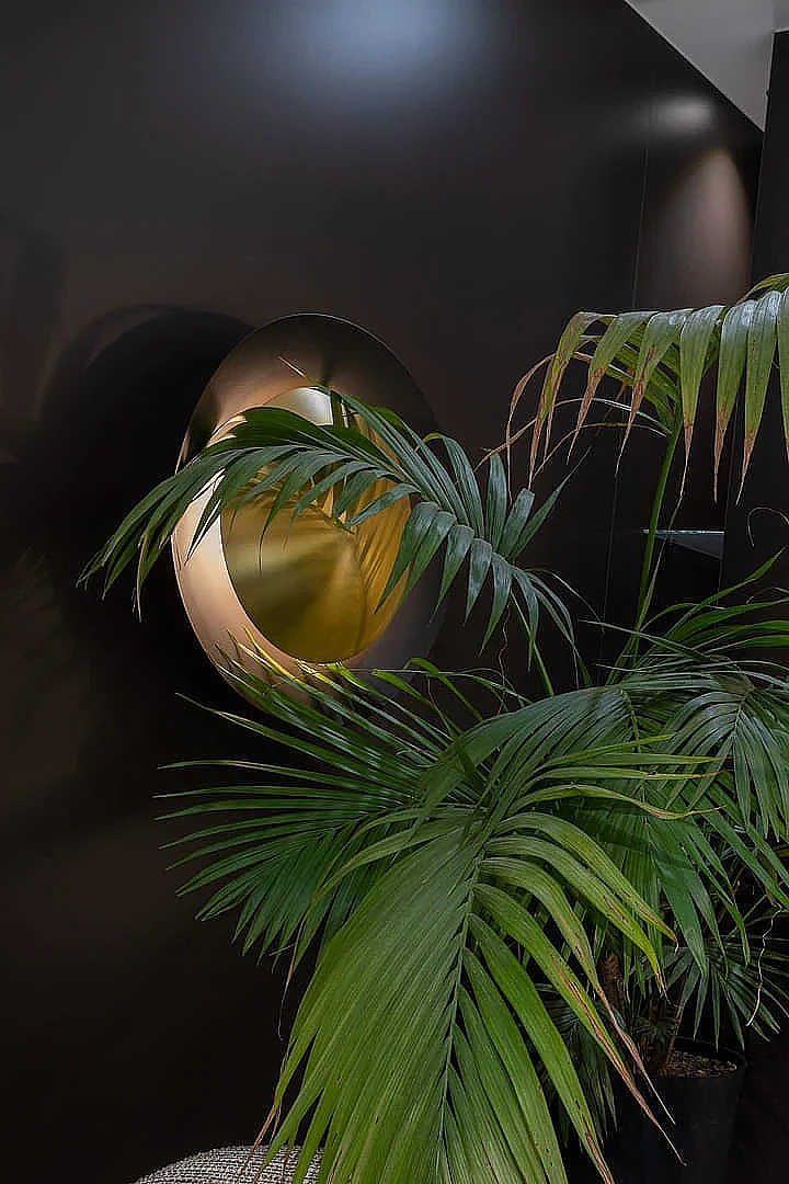 Rośliny do domowego SPA.webp [122.43 KB]