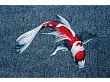 Dywan Pop Koi Japanese Pond 170x240 cm od Carpets&More