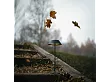 Lampa Stołowa Muffin Czarna IP44 od Maxlight